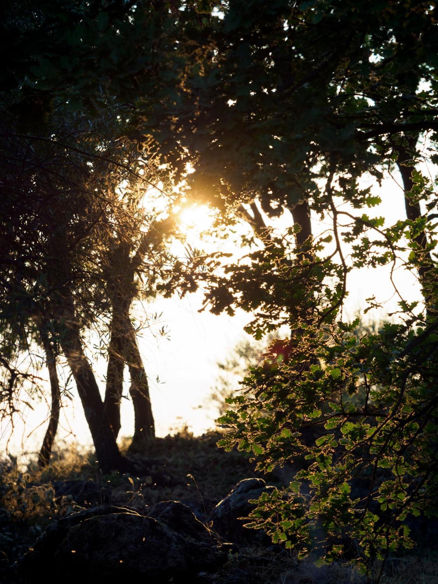 Podere Dell'Etna Segreta - Essential Nature Hotel & Glamping Biancavilla Esterno foto