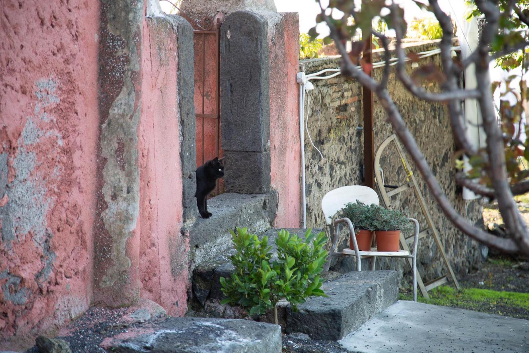 Podere Dell'Etna Segreta - Essential Nature Hotel & Glamping Biancavilla Esterno foto